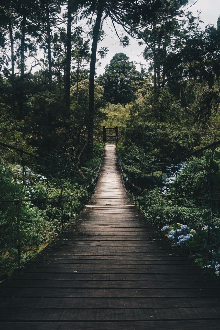 Puentes Mistico